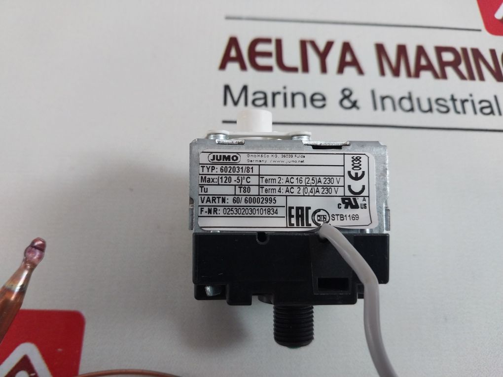 Jumo 602031/81 Thermostat 025302030101834