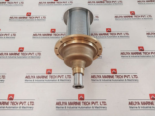 Kaeser 200720.1 Inlet Valve