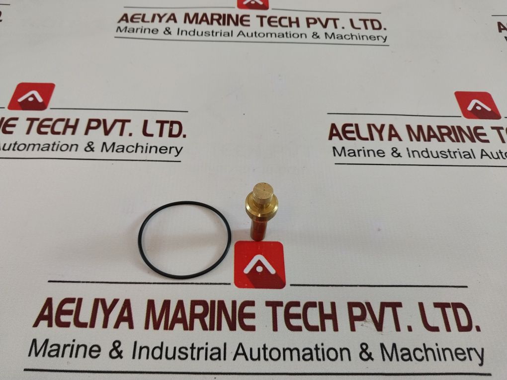 Kaeser 401811.00040 Combination Valve Maintenance Kit