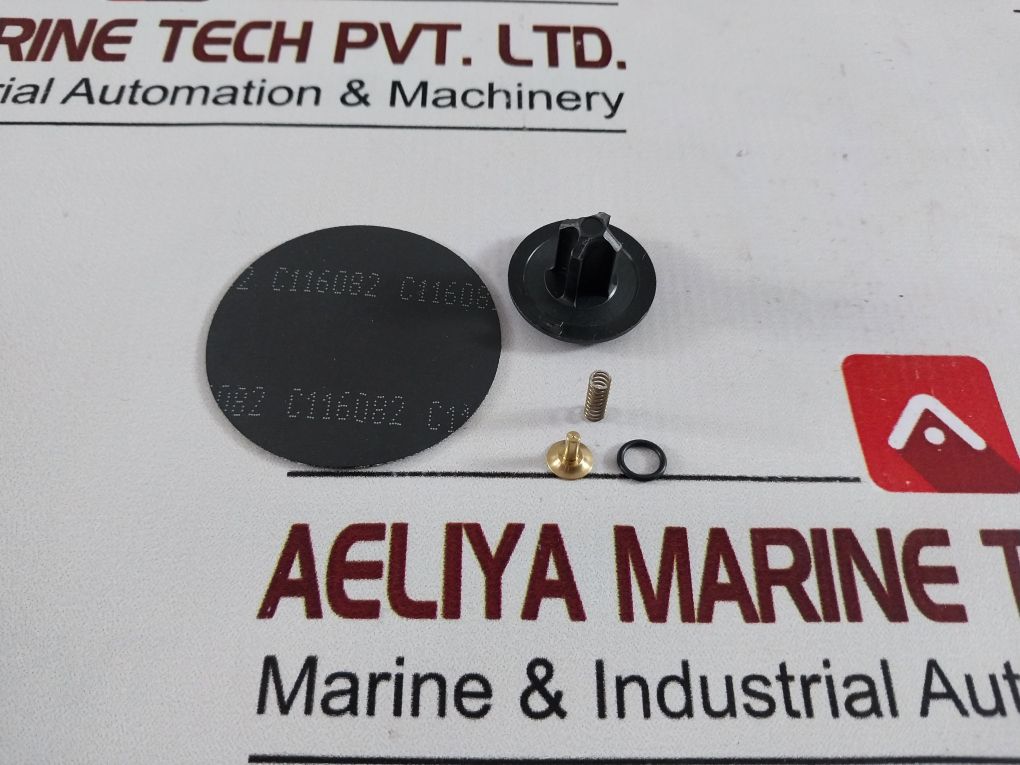 Kaeser 6012 C1,0 Fkm Ms Valve Repair Kit