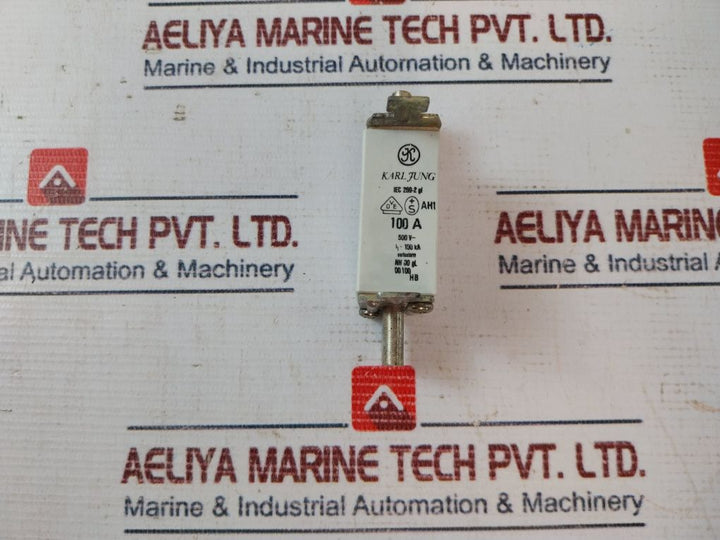 Karl Jung Iec 269-2 Gl Fuse 100A 500V Ac