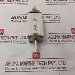 Karl Jung Iec 269-2 Gl Fuse 224 A 500V