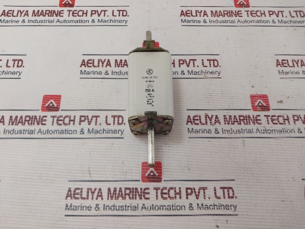 Karl Jung Iec 269-2 Gl Fuse 250 A 500V
