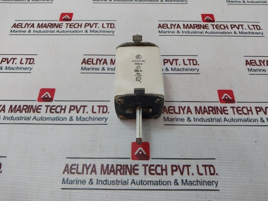 Karl Jung Iec 269-2 Gl Fuse 250 A 500V
