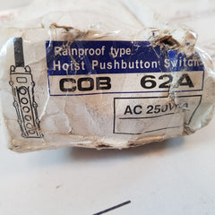 Kasuga cob 62a hoist pushbutton switch pendant control station
