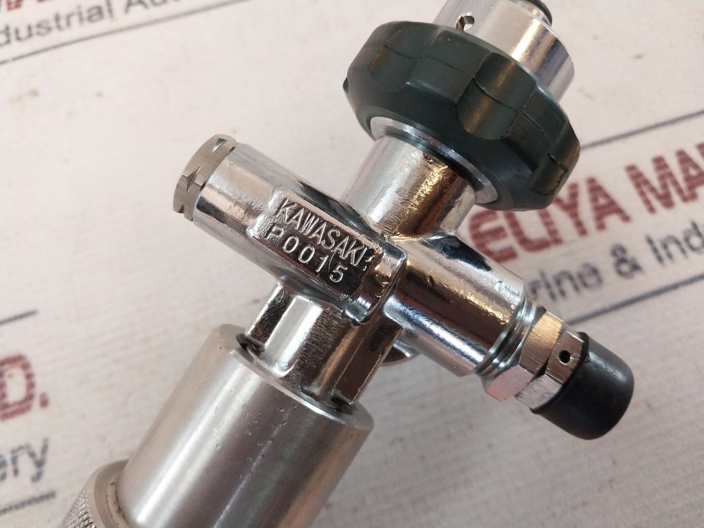 Kawasaki P0015