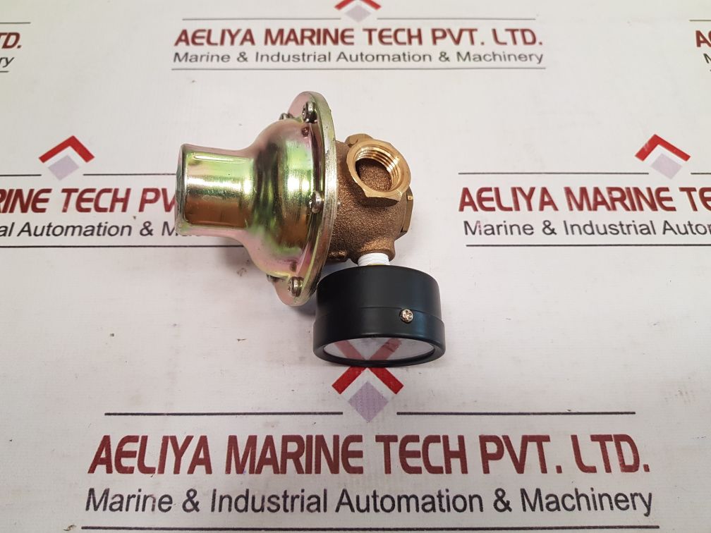 Kins Cl 1.5 Pressure Gauge 0-0.2 Mpa