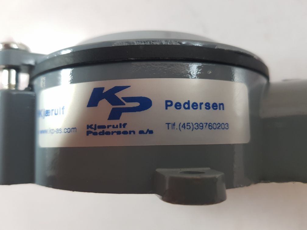 Kjaerulf Pedersen 1Xpt100 Sensor
