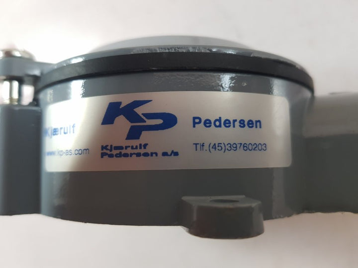 Kjaerulf Pedersen 1Xpt100 Sensor

