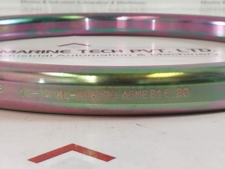Klinger Api 6A-0348 Oval Joint Gasket Ring