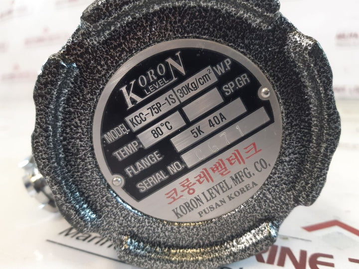 Koron Level Kcc-75P-1S Level Sensor 30KgCm2 W.P
