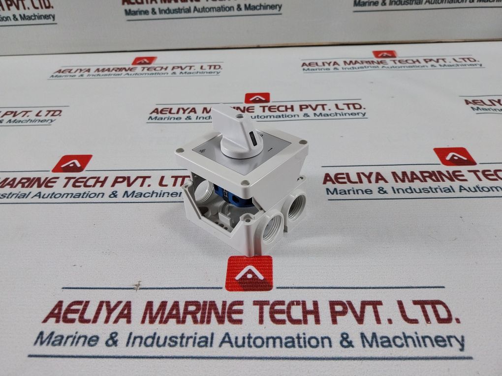 Kraus & Naimer Ca10 A200 Pn1 Cam Switch