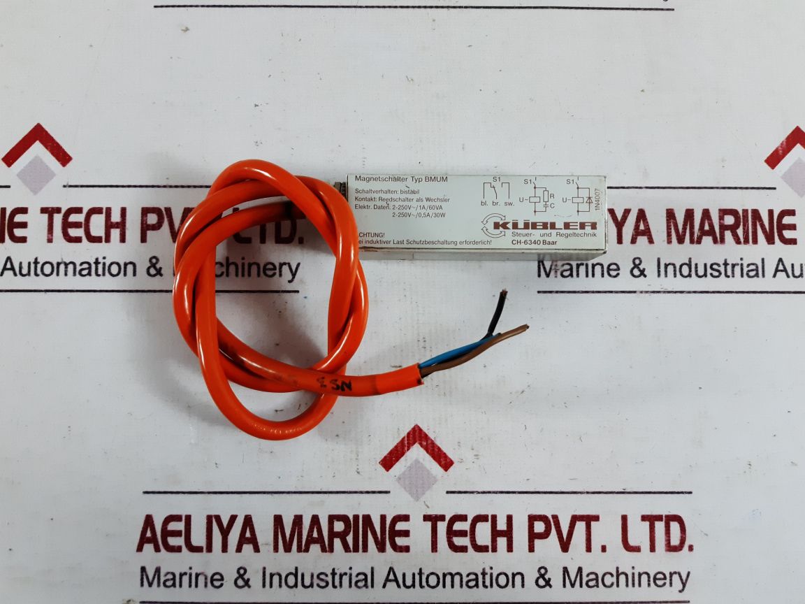 Kubler Bmum Magnetic Switch