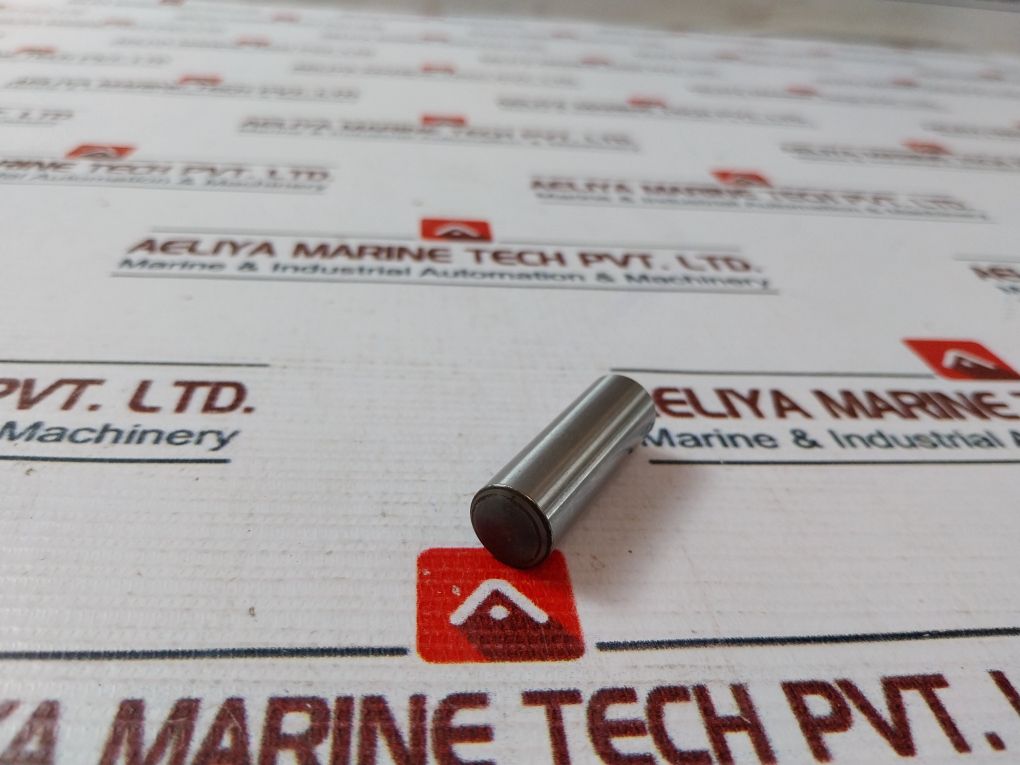 Lewa 113841.0178 Plunger Rod Drive Pin Set
