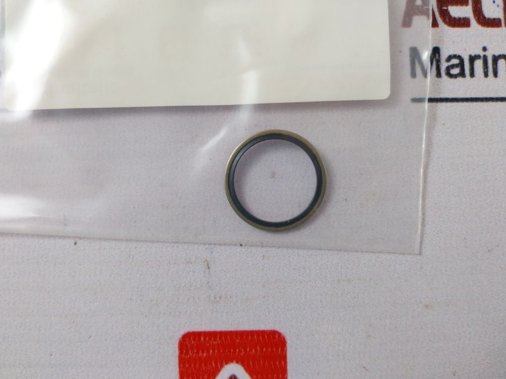 Lewa 114282.1002 Pump Elem Gaskets Radial Seal Ring Kit 071848.0062