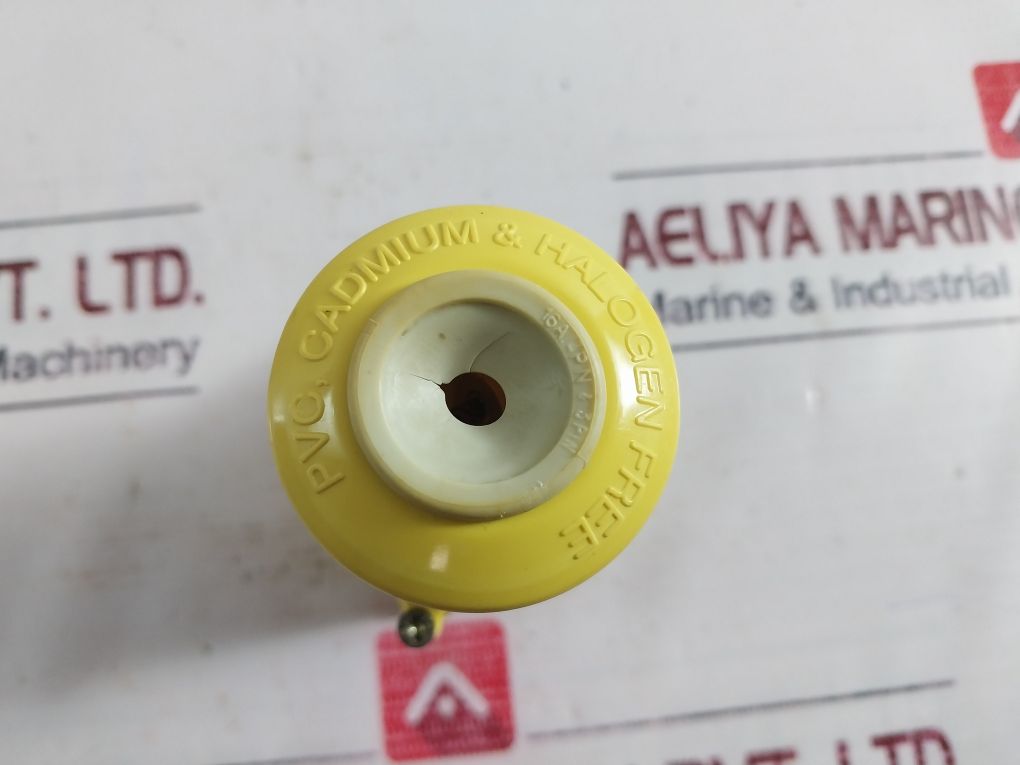 Lewden 2P+E Plug