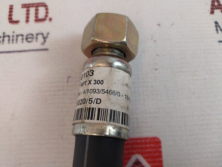 Lohmann Hose Line–R15 1/2” Npt X 300 Hose Assembly