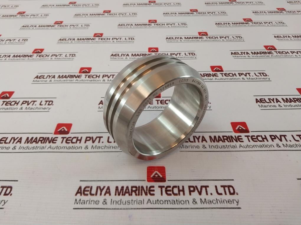 Lone Star 041700-44 Ring Gaskets