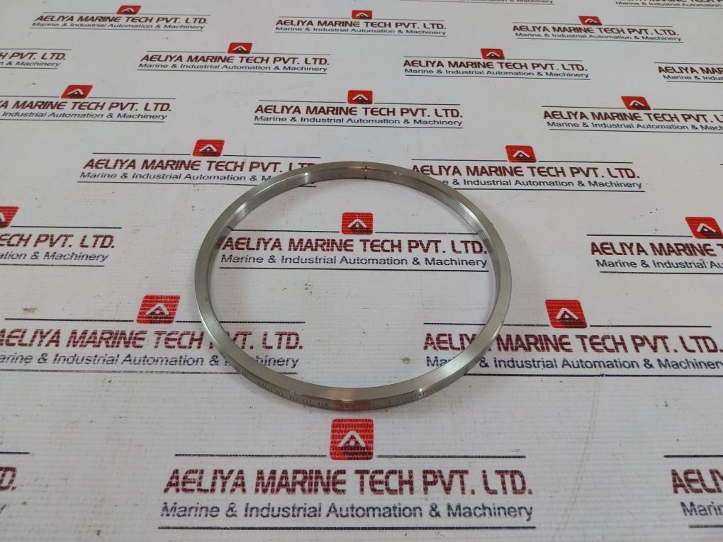 Lone Star 140170-10-01-04 Bonnet Seal Ring