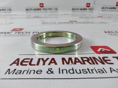 Lone Star Api 6A-0666-gh Gasket Ring