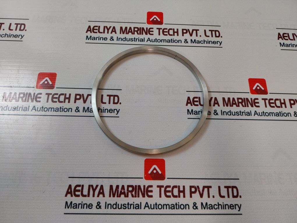 Lonestar 140170-10-01-04 Ring Gasket