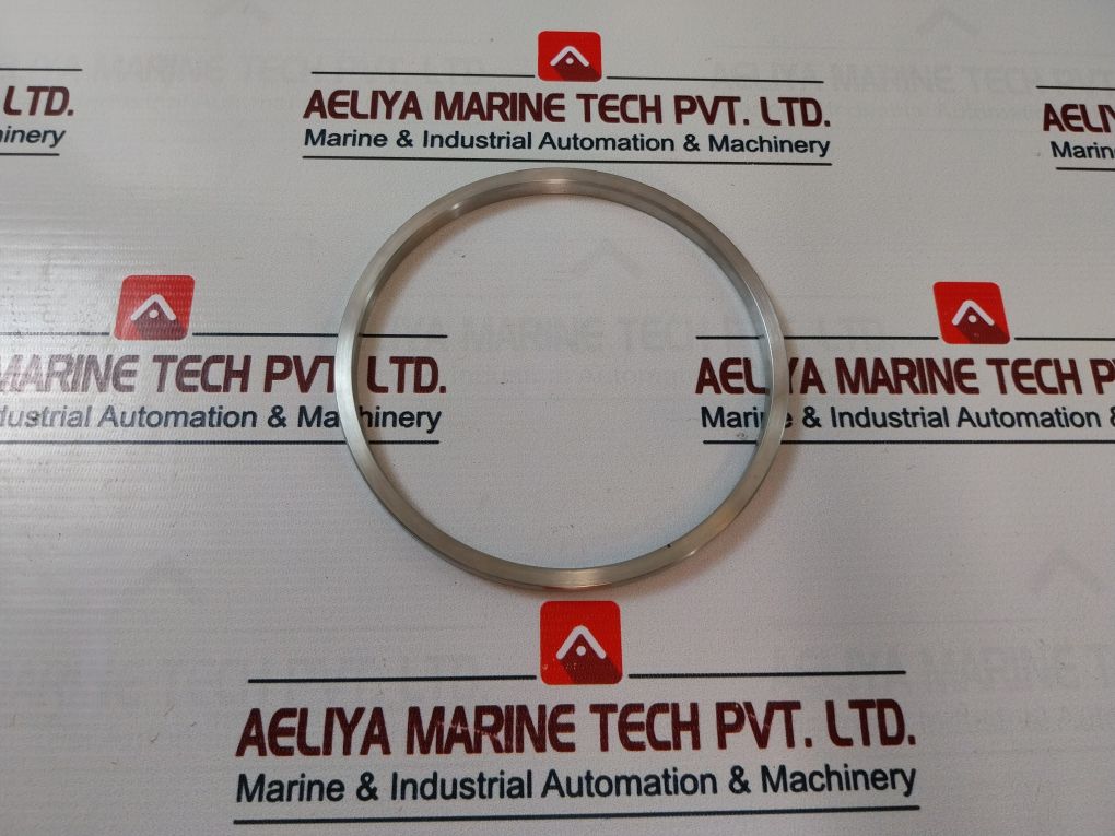 Lonestar 140170-10-01-04 Ring Gasket