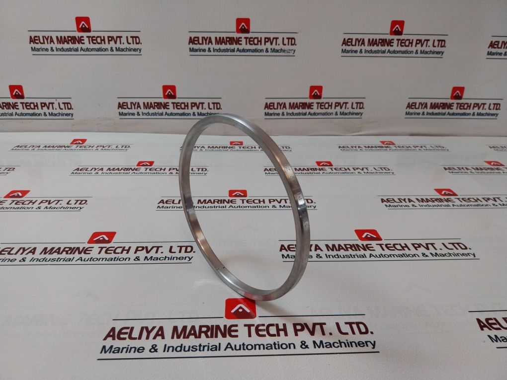 Lonestar 140170-10-01-04 Ring Gasket