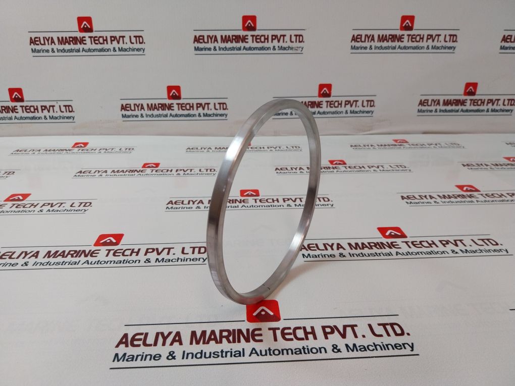 Lonestar 140170-10-01-04 Ring Gasket