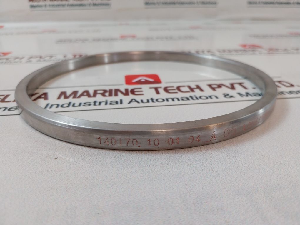 Lonestar 140170-10-01-04 Ring Gasket