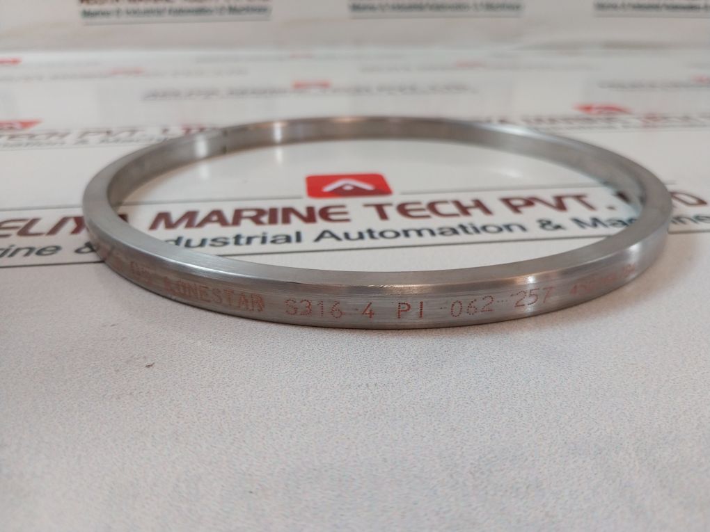 Lonestar 140170-10-01-04 Ring Gasket