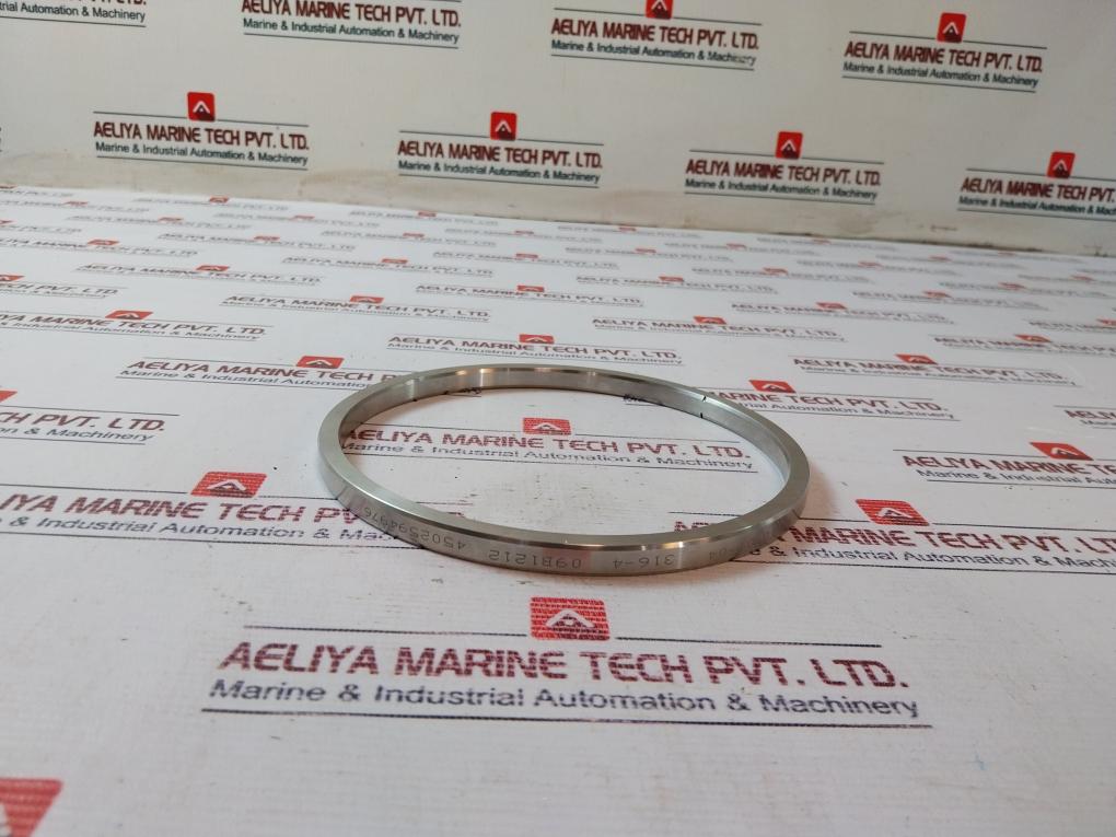 Lonestar 140170-10-01-04 Ring Seal Bonnet