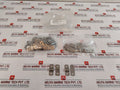 Lot Of 10X Cameron 2720448-04-02 1/4