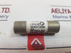 Fuji Electric Fcf2-30 Fuse Link 300V 30A