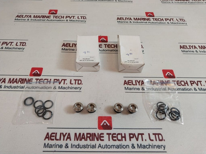 Lot Of 2X Alto 301001494 Valves Kit