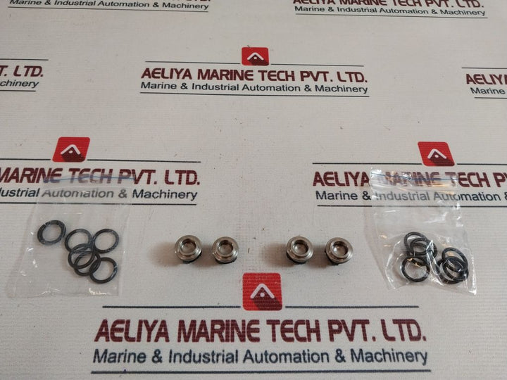 Lot Of 2X Alto 301001494 Valves Kit