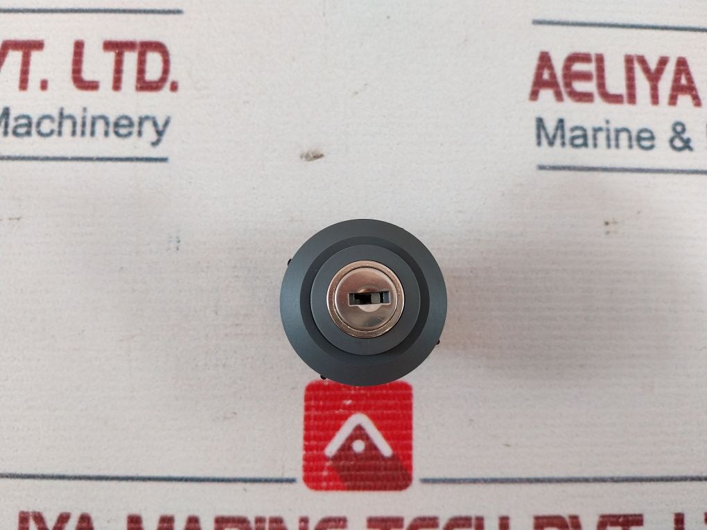 Schlegel 845 Key Switch