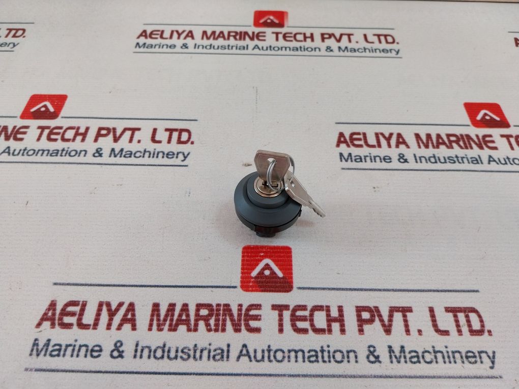 Schlegel 845 Key Switch