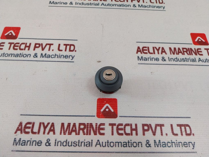 Schlegel 845 Key Switch