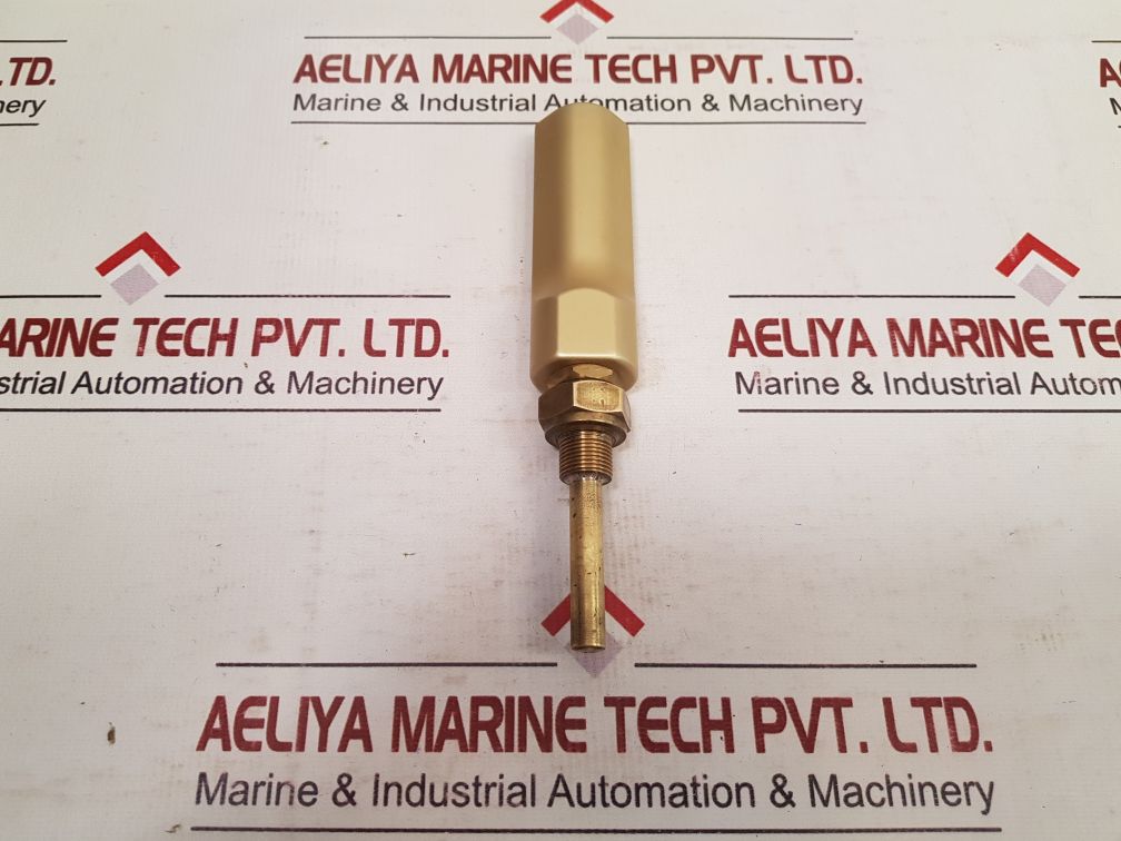 Lsw 0 To 100°C Thermometer