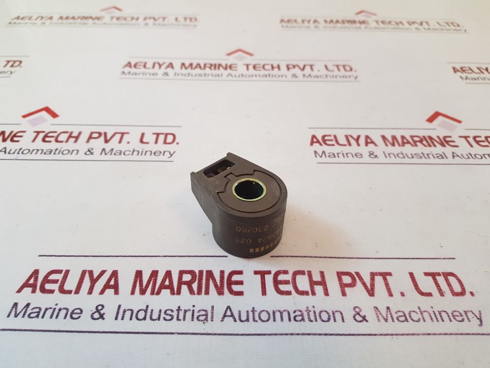 Lucifer 483824 solenoid coil