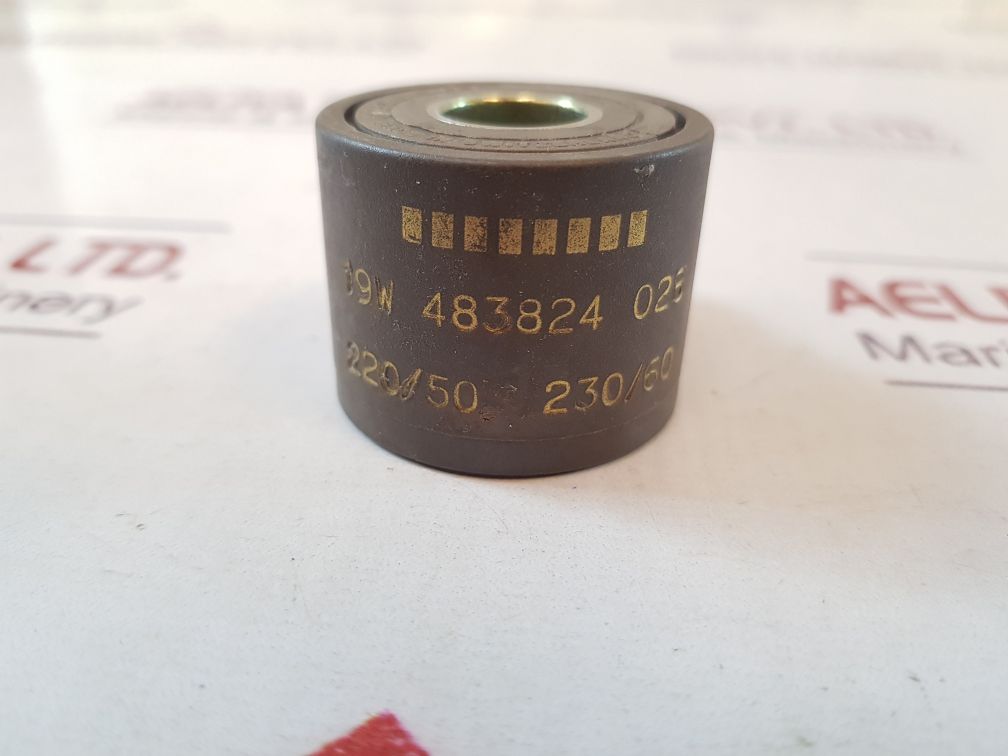 Lucifer 483824 solenoid coil