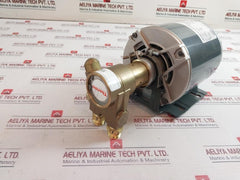 Marathon Electric 5Kh32Gnb784Ax Thermally Protected Ac Motor 50/60Hz