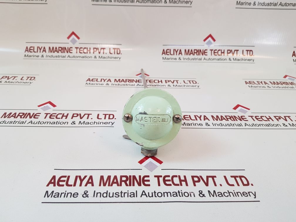 Master italy 2 pt 100 resistance temperature detector