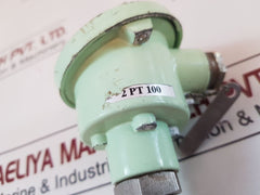 Master italy 2 pt 100 resistance temperature detector