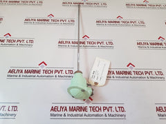 Master 2 Pt 100 Resistance Temperature Detector