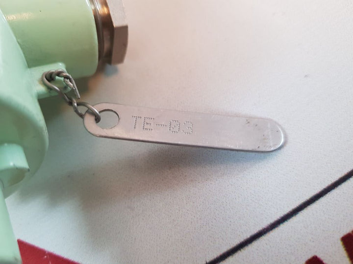 Master italy 2 pt 100 resistance temperature detector 