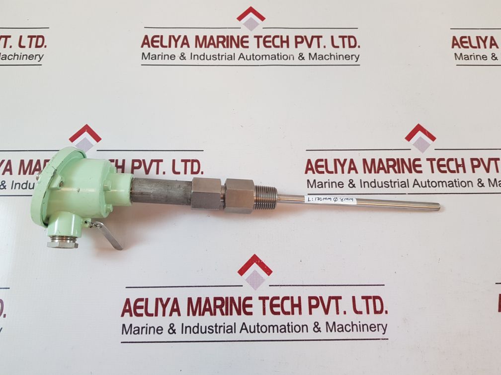 Master italy 2 pt 100 resistance temperature detector 