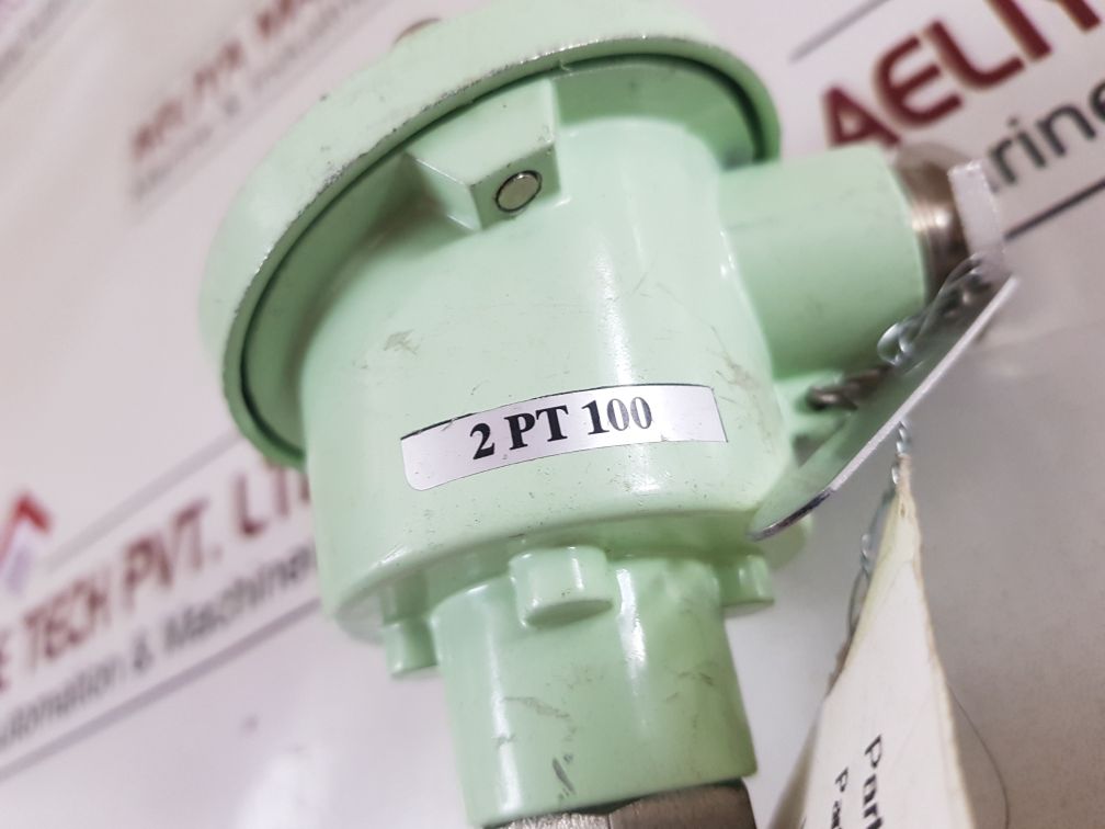 Master italy 2 pt 100 resistance temperature detector