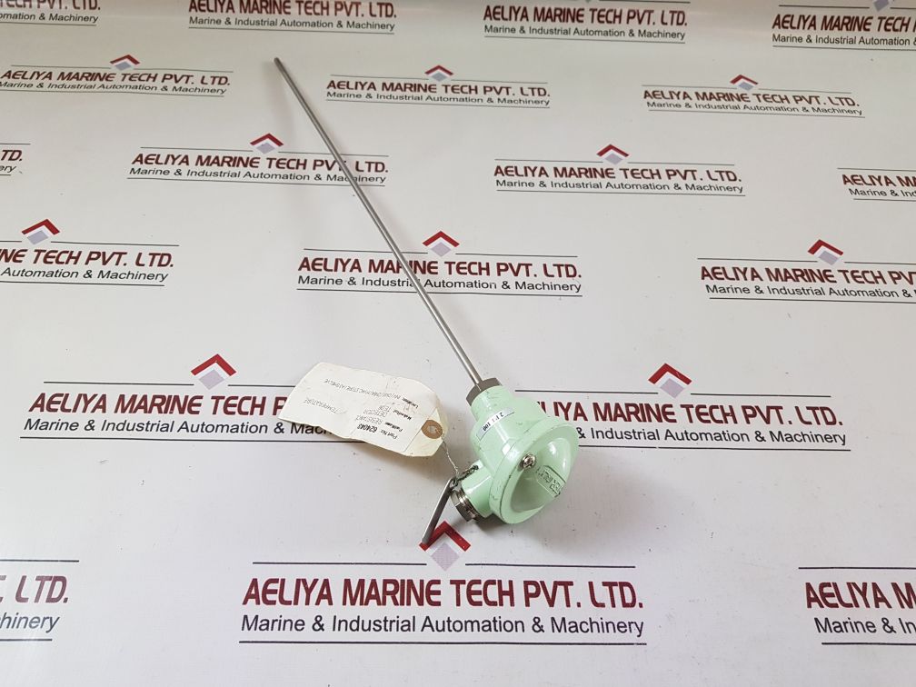 Master italy 2 pt 100 resistance temperature detector