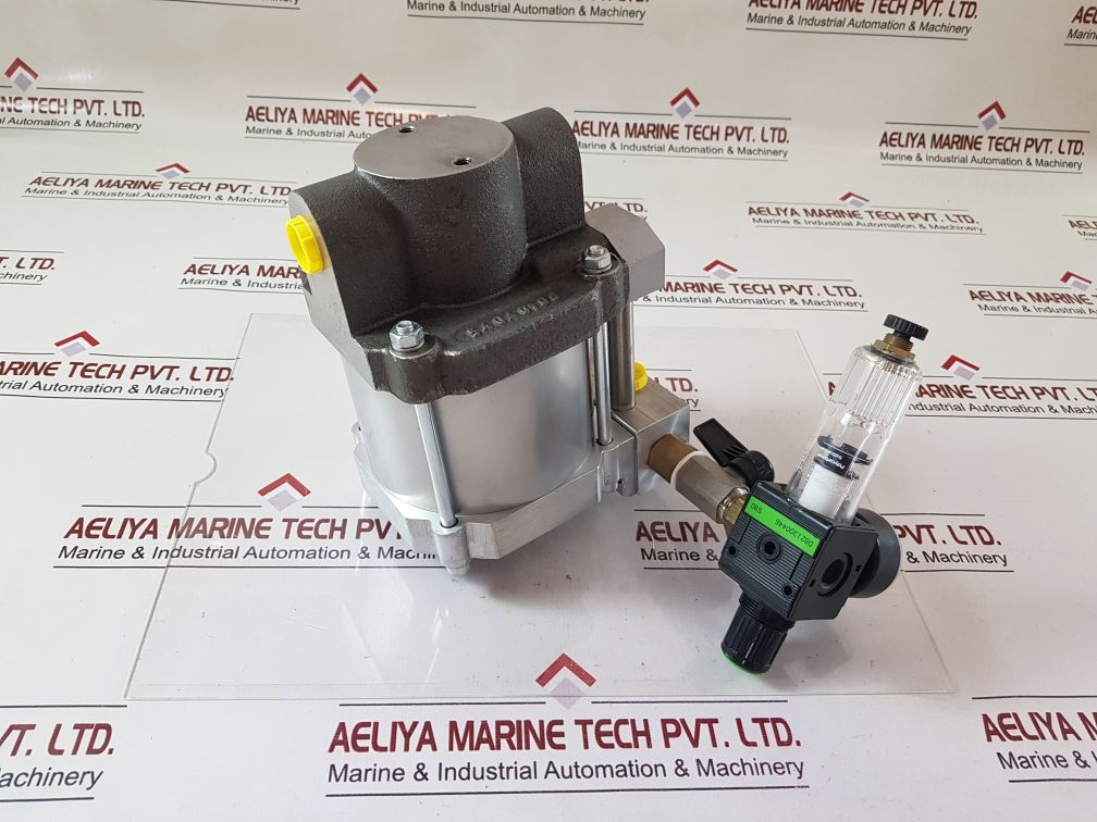 Maximator S 60-02 Air Driven Pressure Pump
